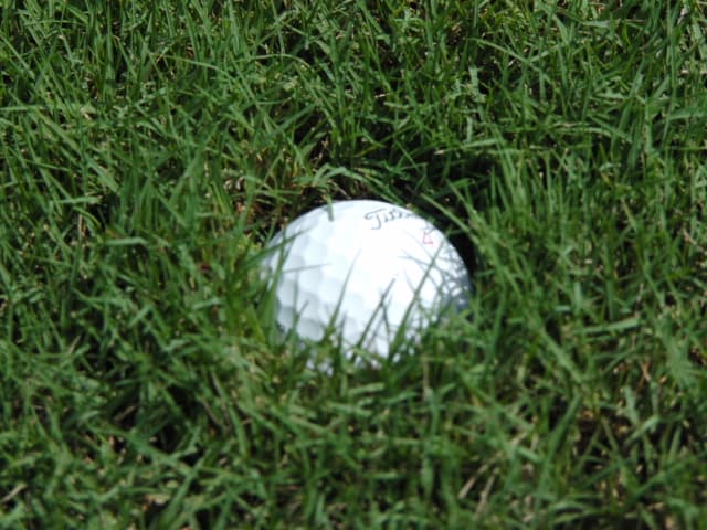 PGA Tour +/- Splits: Bermuda vs Non-Bermuda Courses