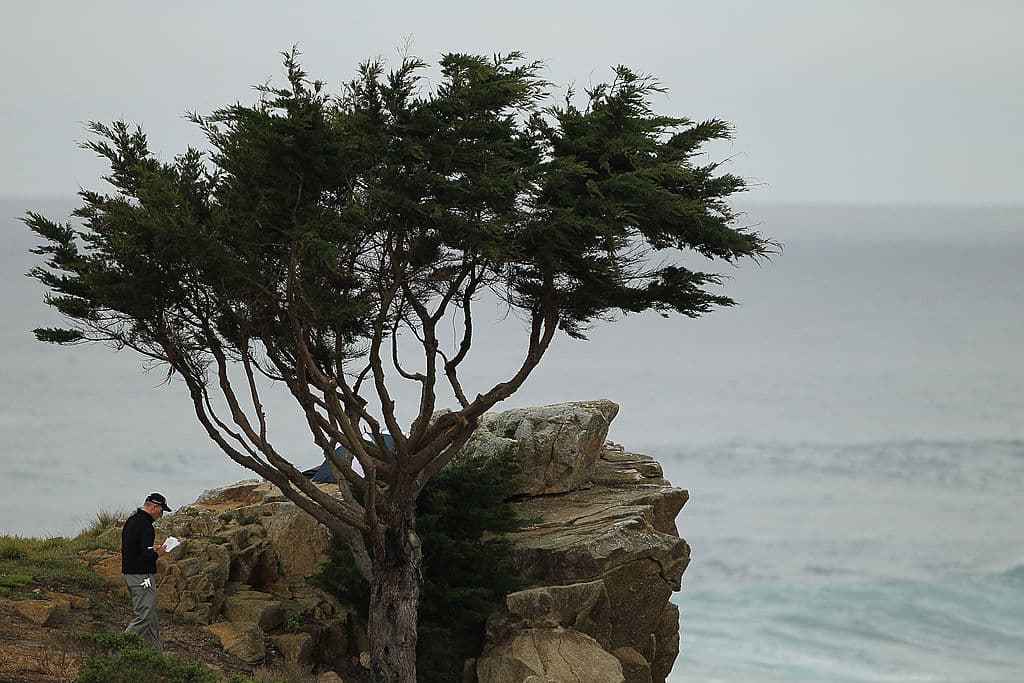 2023 AT&T Pebble Beach Pro-Am – DraftKings Ownership