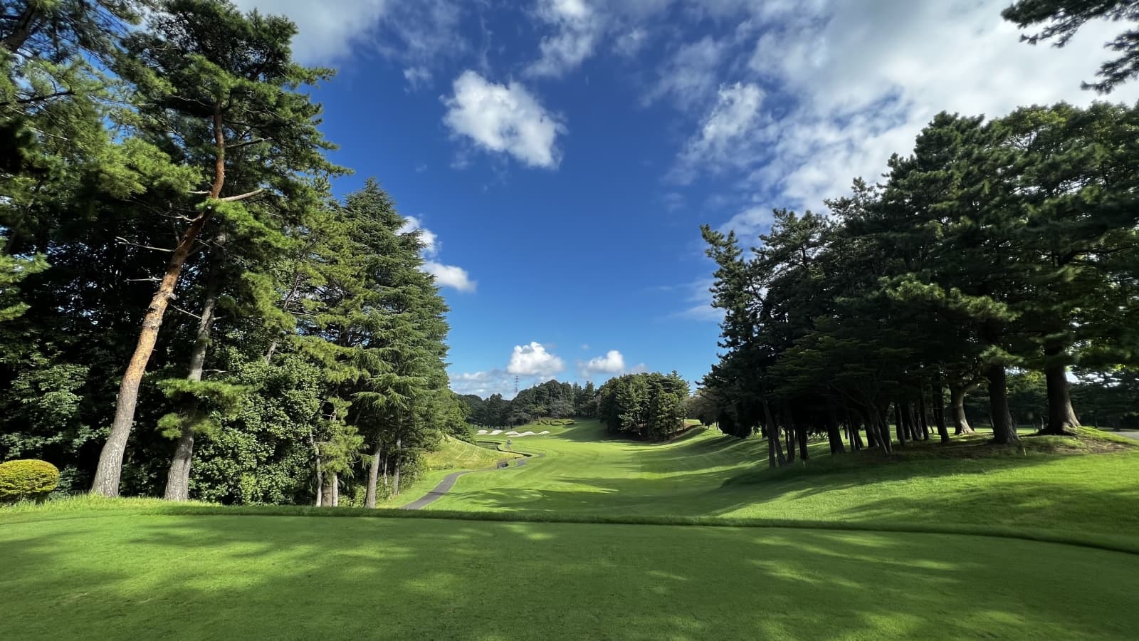 2024 ZOZO Championship at Accordia Golf Narashino Country Club – Preview