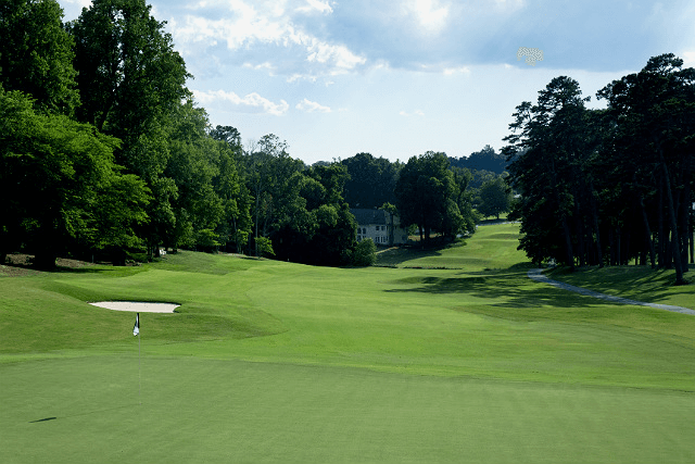 2025 Wyndham Championship at Sedgefield Country Club – Preview