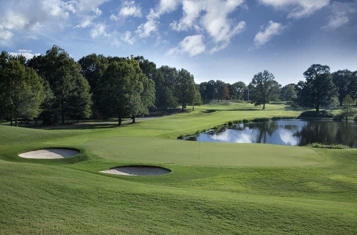2025 FedEx St. Jude Championship at TPC Southwind – Preview