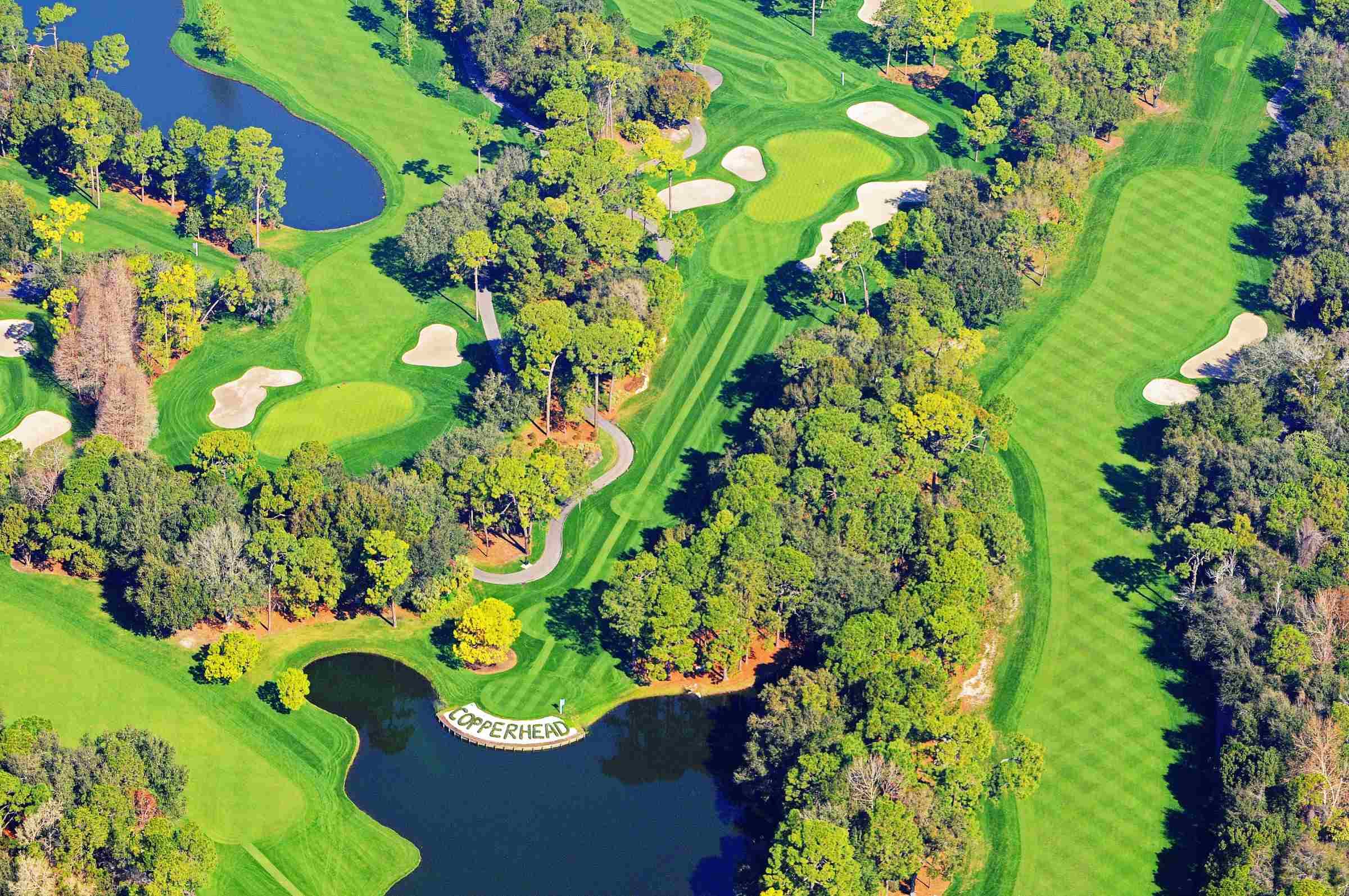 Valspar Championship at Innisbrook Resort – 2026 Preview